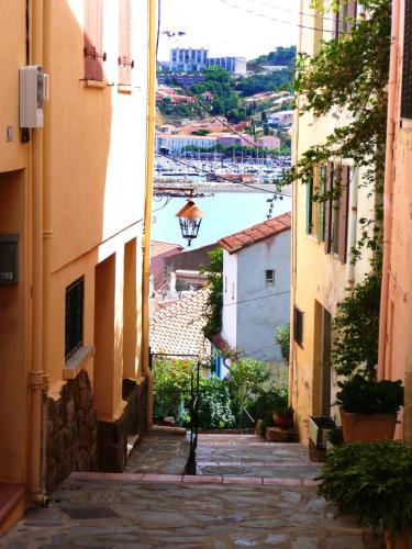 une allée offrant une vue sur l'eau depuis les bâtiments dans l'établissement Studio 32 m² à Banyuls-sur-Mer avec terrasse agréable le jardin., à Banyuls-sur-Mer