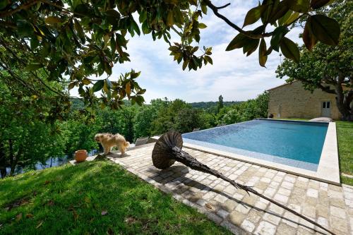 un perro de pie junto a una piscina en Les Demeures de Valette en Azay-le-Brûlé