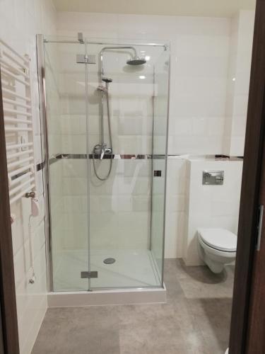 a glass shower in a bathroom with a toilet at APARTAMENTY POSEJDON in Świnoujście