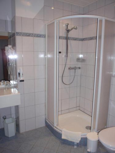 a bathroom with a shower with a toilet and a sink at Pension ALPENHAUS in Vorderstoder