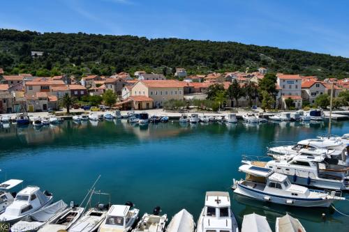 a bunch of boats are docked in a harbor at Galeb 3 in Veli Iž