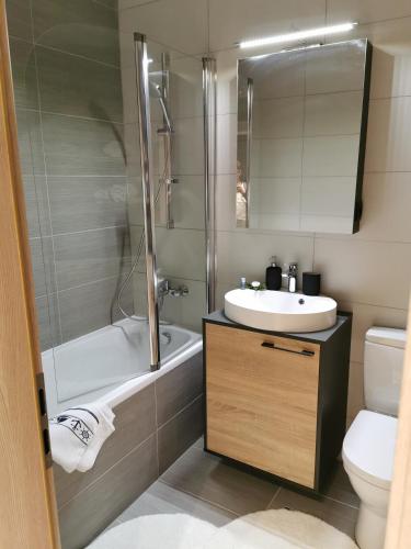 a bathroom with a sink and a shower and a toilet at Romana Dream apartment in Vrsar
