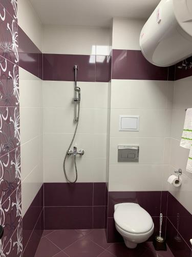 a bathroom with a toilet and a shower at Obzor Tatyana Apartaments Nemo in Obzor