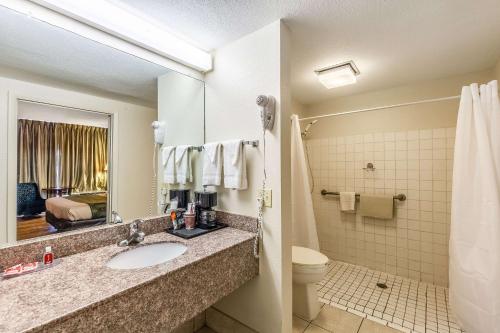 a bathroom with a sink and a toilet and a mirror at Econo Lodge Lake City-North in Lake City
