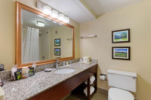 a bathroom with a sink and a toilet and a mirror at Comfort Inn & Suites Durham near Duke University in Durham
