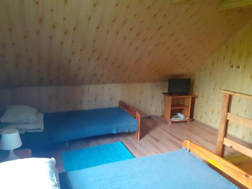 a room with a bed and a tv in a cabin at Siedlisko Bieszczadzkie 1 in Lutowiska