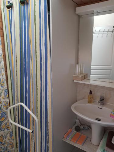 a bathroom with a sink and a shower curtain at Gîte Mercues in Mercuès