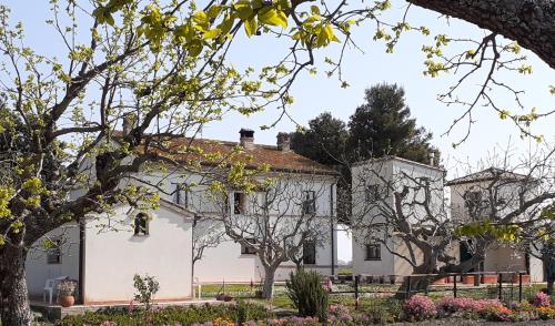 ein weißes Haus mit Bäumen davor in der Unterkunft Silos Torrenova in Potenza Picena