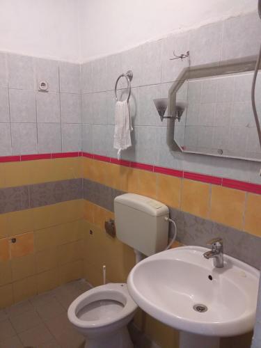 een badkamer met een toilet en een wastafel bij Rozafa Ferry & Accommodation in Koman