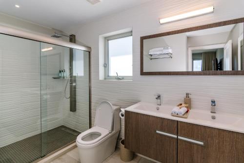 La salle de bains est pourvue de toilettes, d'un lavabo et d'une douche. dans l'établissement Rose Quartz Condo Suite Grenada, à Egmont