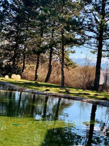 a body of water with trees in the background at Momentum Hotel in Anif