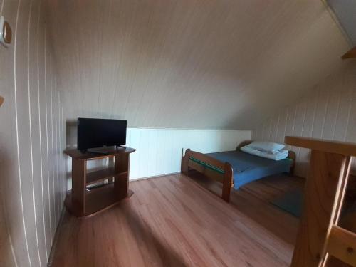 Una pequeña habitación con una cama y un televisor. en Siedlisko Bieszczadzkie 2, en Lutowiska
