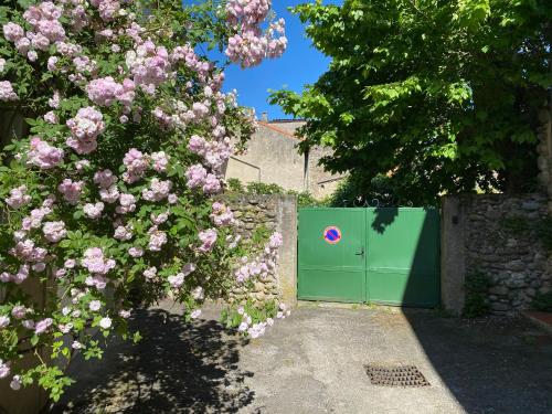 a green gate with a hedge and pink flowers at Studio au Coeur du Village avec terrasse et parking proche de Pamiers in Verniolle