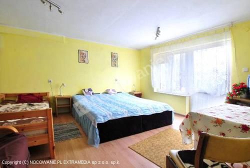 ein Schlafzimmer mit einem großen Bett und einem Fenster in der Unterkunft Pokoje u Gabi in Bytów