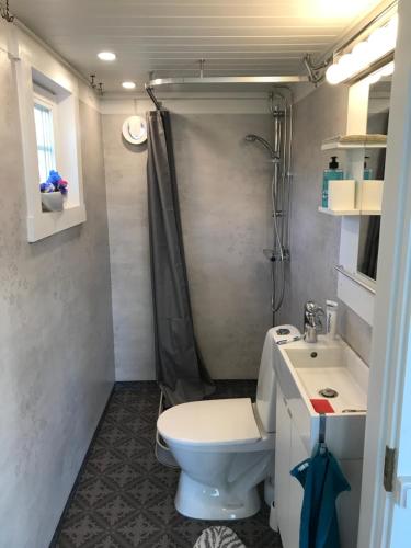 La petite salle de bains est pourvue de toilettes et d'un lavabo. dans l'établissement Lottas stuga, à Smedjebacken