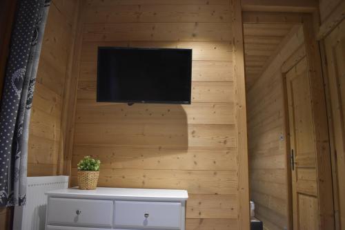 a room with a tv on a wooden wall at Chalet le Petit Ramoneur in Châtel