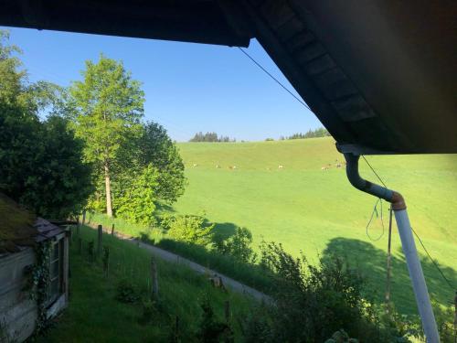 a view of a field with cows in the distance at Bühl 3 in Affoltern