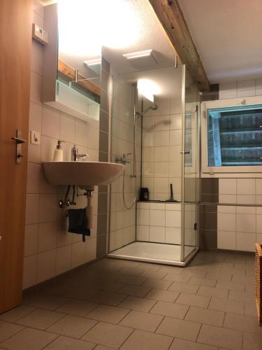 Kuchyň nebo kuchyňský kout v ubytování Bühl 3