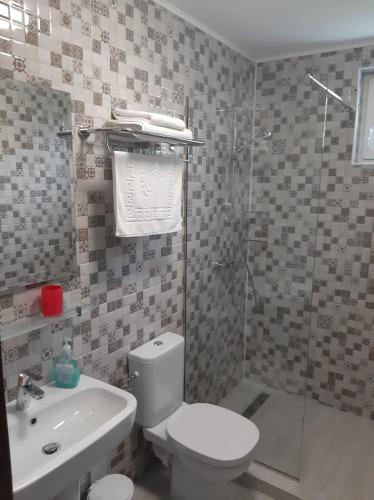 a bathroom with a toilet and a sink and a shower at Casa Dumitru in Ceraşul
