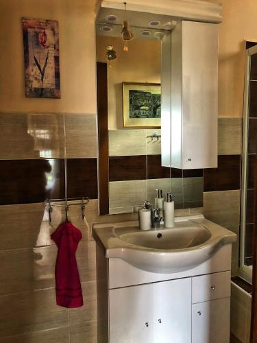 a bathroom with a sink and a mirror at Villa Borostyán in Tihany