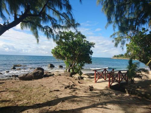 una mesa de picnic en una playa cerca del océano en ROY'AL BEACH HOLIDAYS, en Sainte-Luce