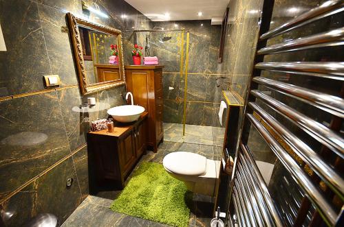 茲拉蒂博爾的住宿－米瑞斯敦嘉公寓式酒店，一间带卫生间和水槽的浴室