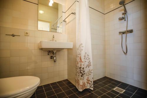 een badkamer met een toilet, een wastafel en een douche bij Twentekiek in Delden
