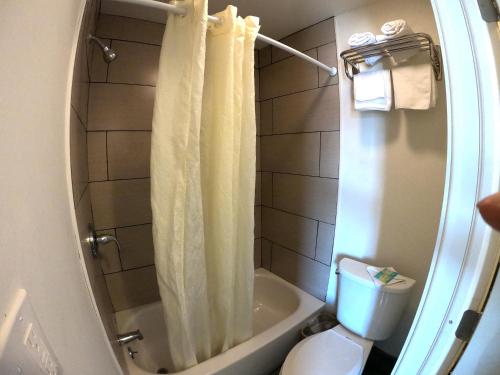 La salle de bains est pourvue d'un rideau de douche blanc et de toilettes. dans l'établissement Rest Inn - Elizabeth, à Elizabeth