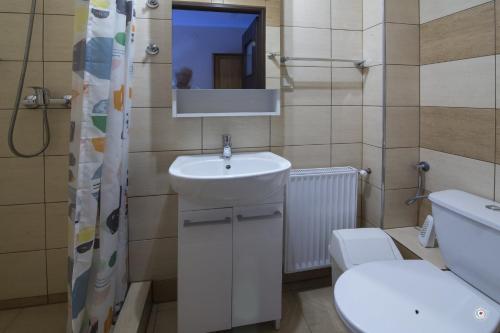 Un baño con lavabo, inodoro y espejo. en Siedlisko Na Fali, en Krynica Morska