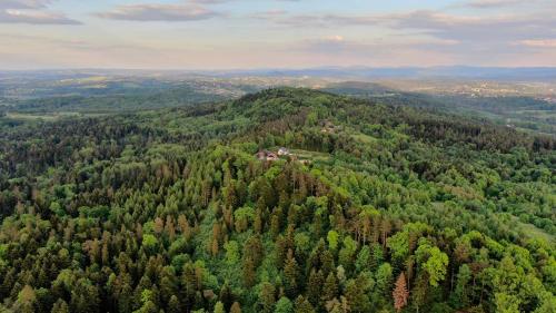 Afbeelding uit fotogalerij van Leśny dom górska chata in Wysoka