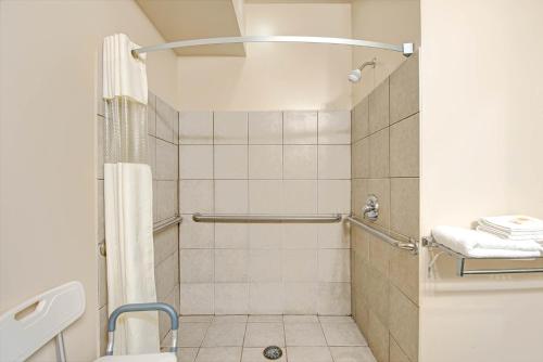 a bathroom with a shower with a shower curtain at Days Inn by Wyndham Downtown St. Louis in Saint Louis