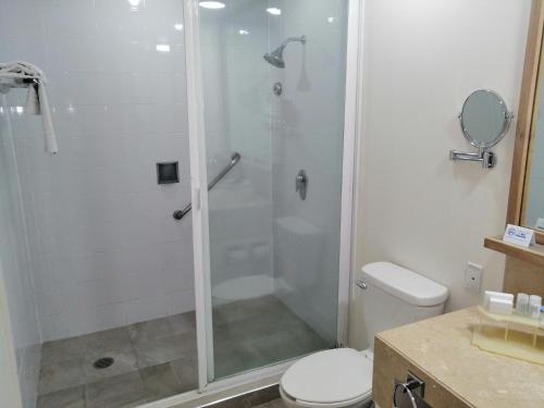 a bathroom with a shower and a toilet at Holiday Inn Express Mexico Reforma by IHG in Mexico City