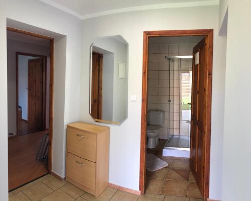 a bathroom with a sink and a toilet and a mirror at Apartament Augustów in Augustów