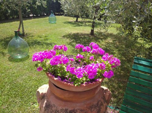 a pot filled with purple flowers next to a bench at Appartamento Grey in Arezzo