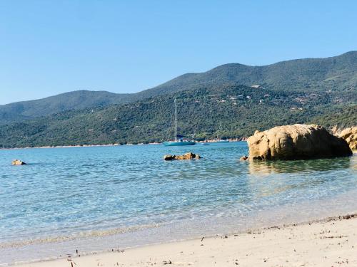 a beach with a large rock in the water at Les Villas MarInCelu in Porto Pollo