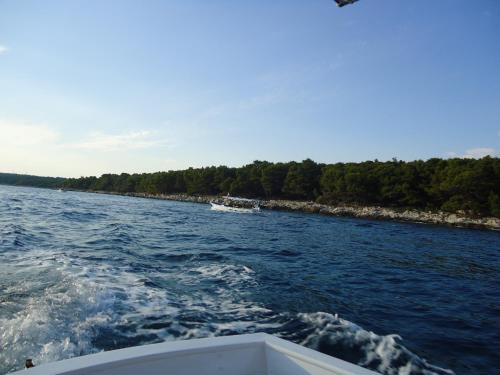 a boat in the water on a river at M. DE DOMINISA 5 in Rab