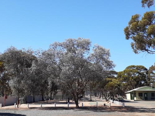 a group of trees in front of a building at Acclaim Gateway Tourist Park in Norseman