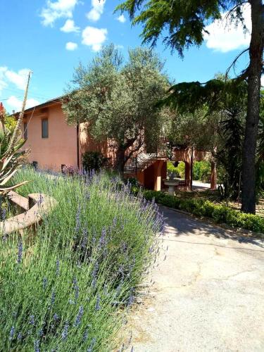 One bedroom villa with city view enclosed garden and wifi at Caltanissetta