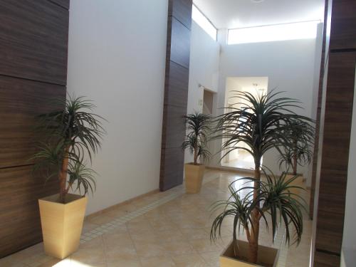 a hallway with three potted plants in a building at Palace Hotel in Itajubá