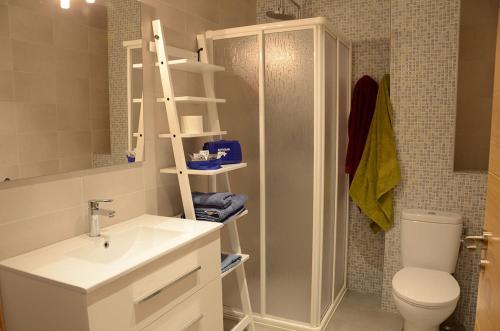 Un baño con lavabo, inodoro y ducha. en Apartamentos Elizondo, en Elizondo