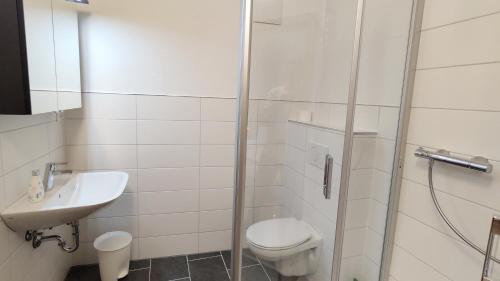 ein Bad mit einer Dusche, einem WC und einem Waschbecken in der Unterkunft Hotel-garni-Kachelburg in Dieblich