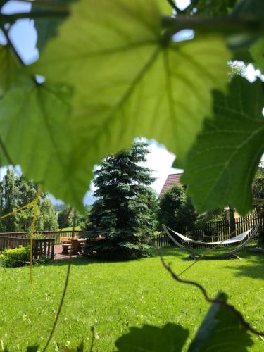 a large green leaf with a hammock in a park at Siumno Izba B&B Brzegi in Brzegi