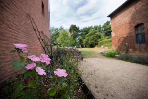 a garden with pink flowers next to a brick building at Les gîtes du Moulin castral in Geer