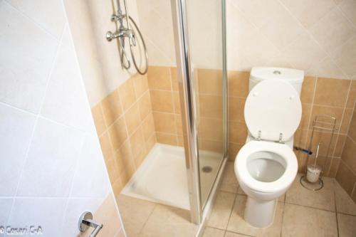 a bathroom with a toilet and a shower at Résidence de Filitosa - Le Torréen in Sollacaro