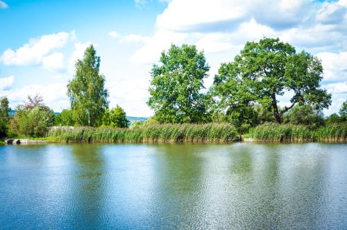 a large body of water with trees in the background at Tsisarske Urochyshe in Rozgirche