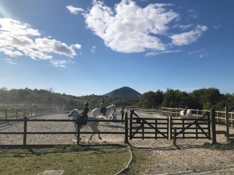 a group of people riding horses behind a fence at Heatherhill Farm Cottage in Letterfrack beside Connemara National Park in Letterfrack