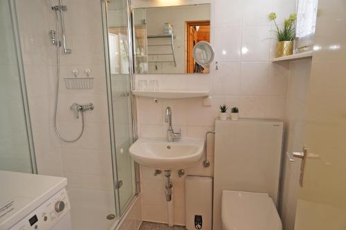 a bathroom with a toilet and a sink and a shower at Urlaub fuer die ganze Familie in Damp