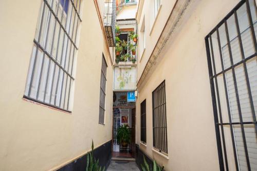 Pension San Pancracio