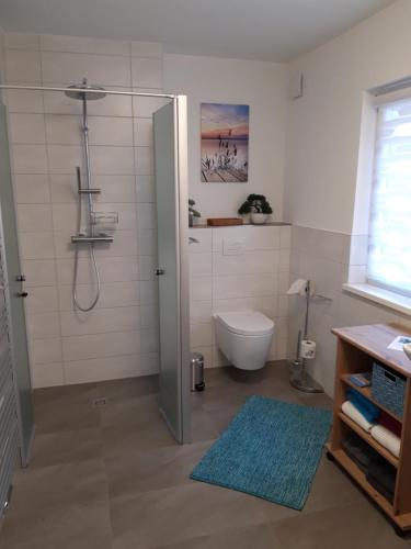 a bathroom with a shower with a toilet and a sink at Ferienhaus am Riesenberg in Ellrich