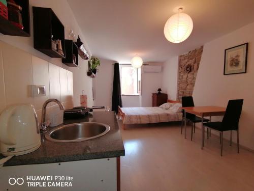 a kitchen and living room with a sink and a bed at Mirta & Eva Apartments in Piran